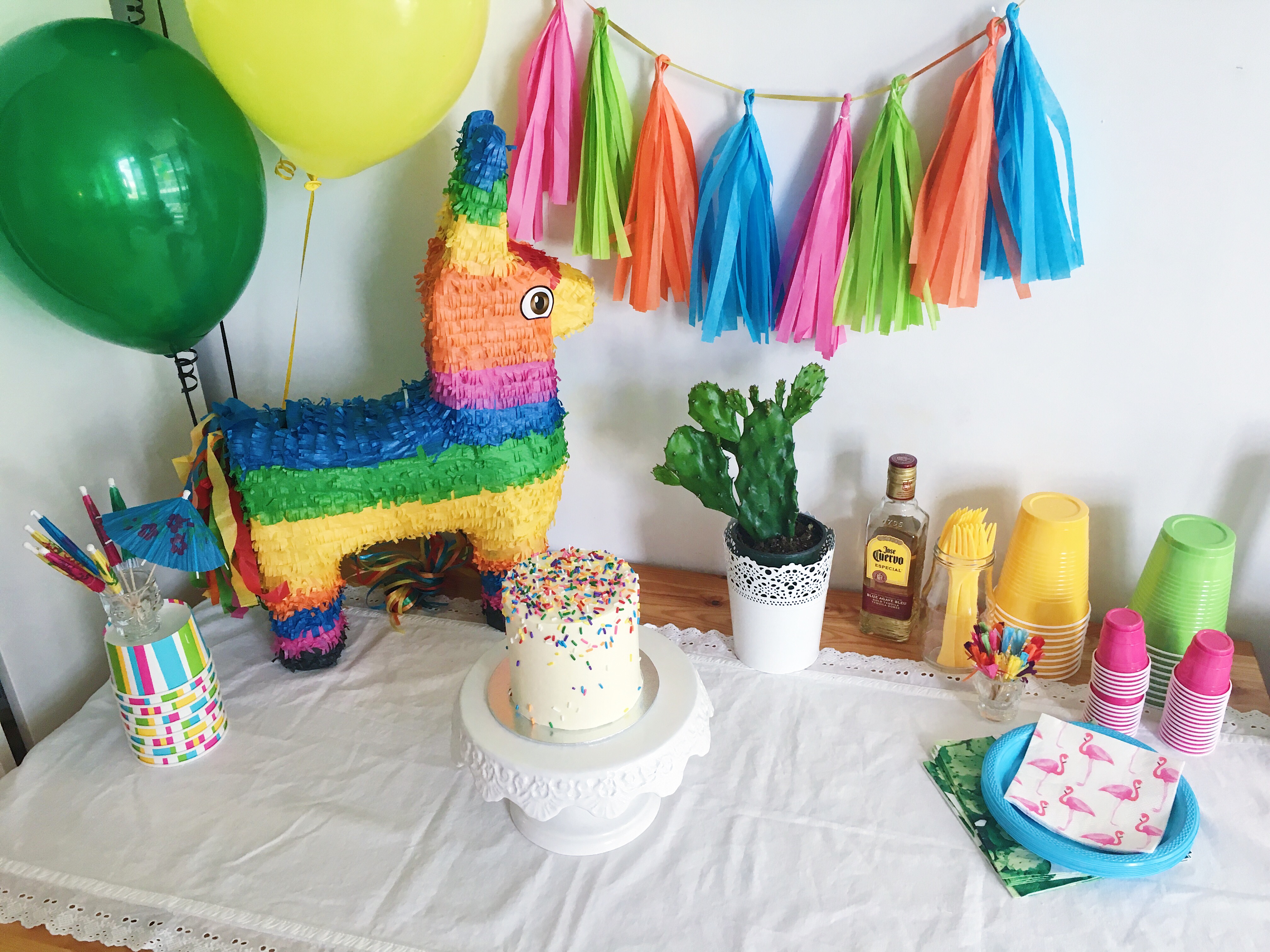 Birthday Party Fiesta Decor
